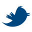 Twitter (X)